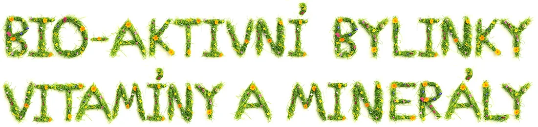 Bio aktivní bylinky vitamíny a minerály